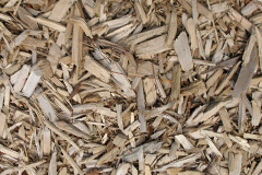 biomass boilers Warleigh